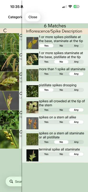 Minnesota Wildflowers Info. screenshot 3 of 10