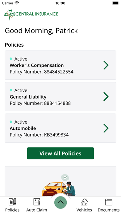 Central Insurance Screenshot