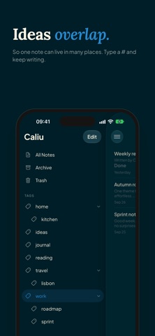 Caliu screenshot 3