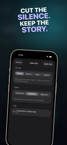 Vidgrafix iPhone screenshot