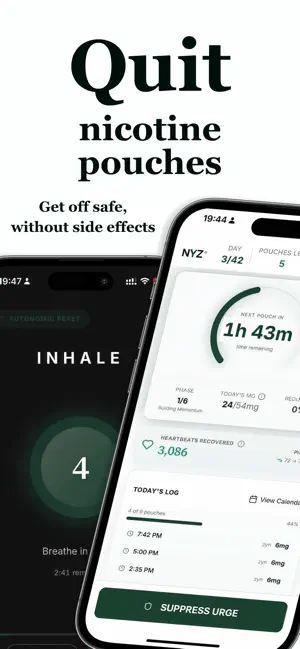 NYZ — Quit Nicotine Pouches screenshot 1