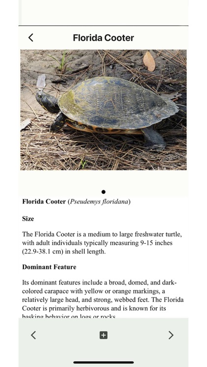 Wildlife of Florida screenshot-5