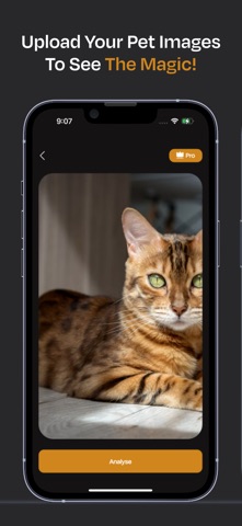 Pet Identifier - Breed Finder screenshot