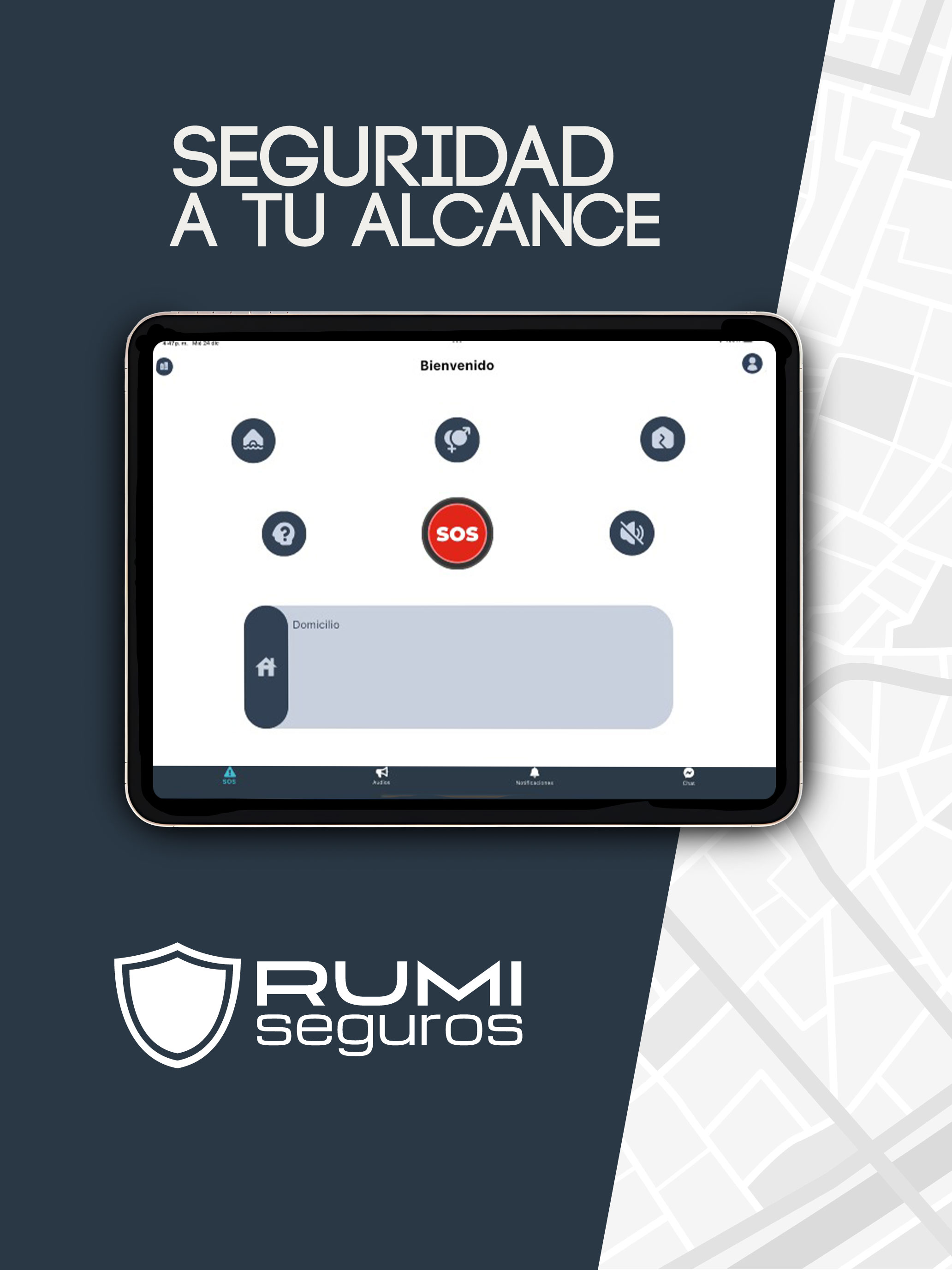 Rumi seguros