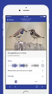 iknow birds lite iPhone Captures Décran 3