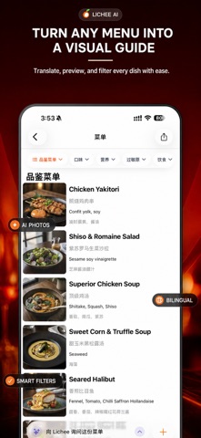 Lichee AI Screenshot 3 of 3