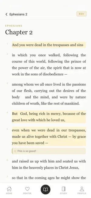 Manna: Bible & Study screenshot 3
