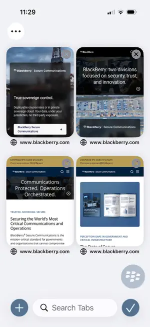BlackBerry Access screenshot 1