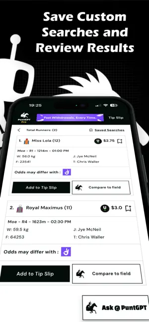 PuntGPT screenshot 4