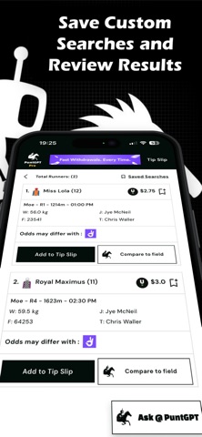 PuntGPT Screenshot 4 of 8