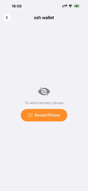 Phrase Secure Wallet-NeverLost screenshot 3
