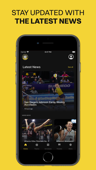 Pro Volleyball Federation Screenshot