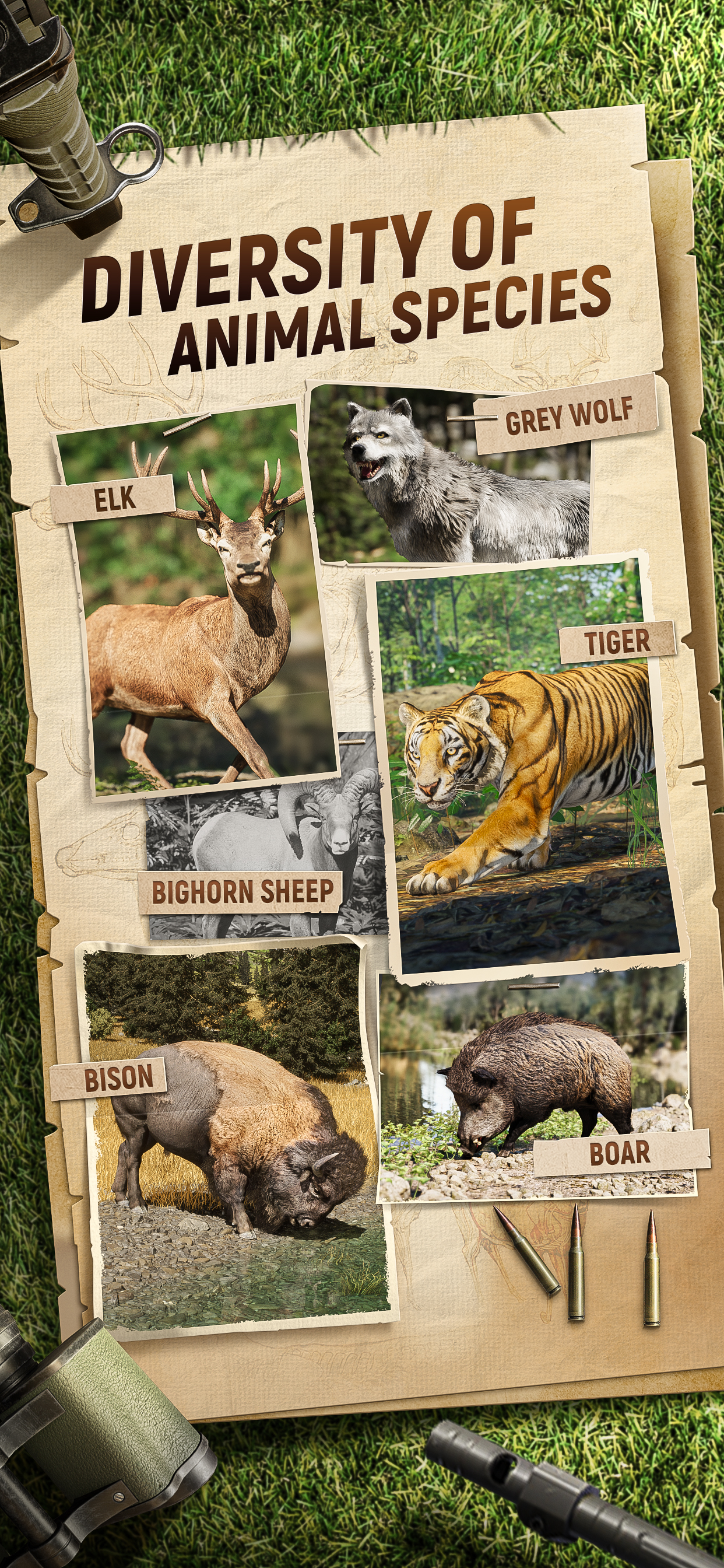 Hunting Sniper : Rival