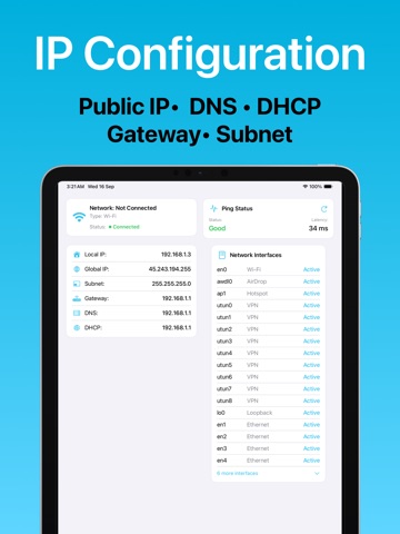 Pingers - Ping & Latency Check screenshot