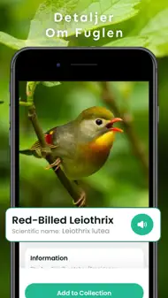 Fuglelyder – What Bird ID iphone bilder 2
