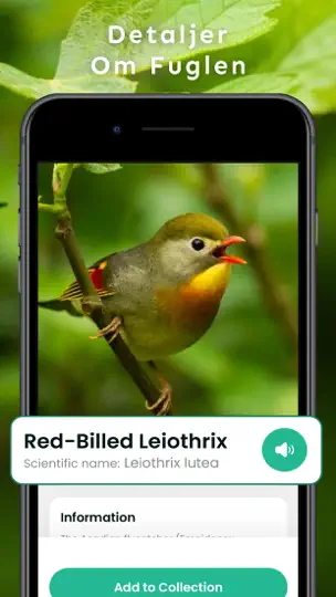 Fuglelyder – What Bird ID iPhone-skjermbilde 3