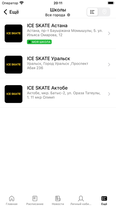 ICE SKATE Screenshot