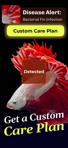 Fish Identifier: Finder & Care Screenshot 4 of 9