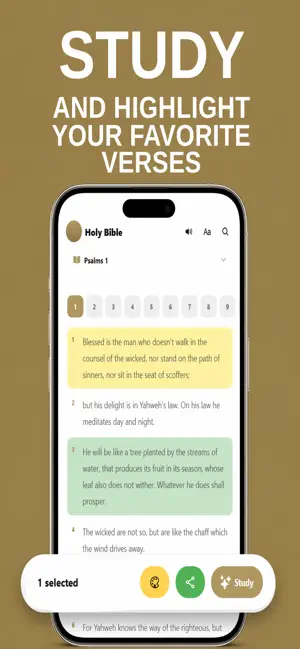 Holy Bible - Bible Offline iPhone screenshot 2