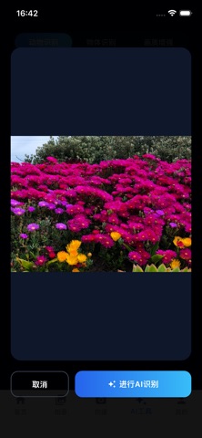 观立拍 screenshot