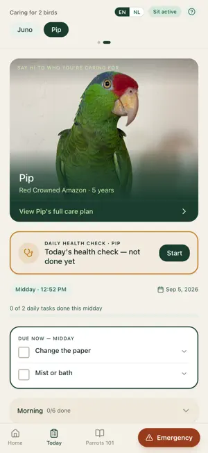 Kya & Co. screenshot 3