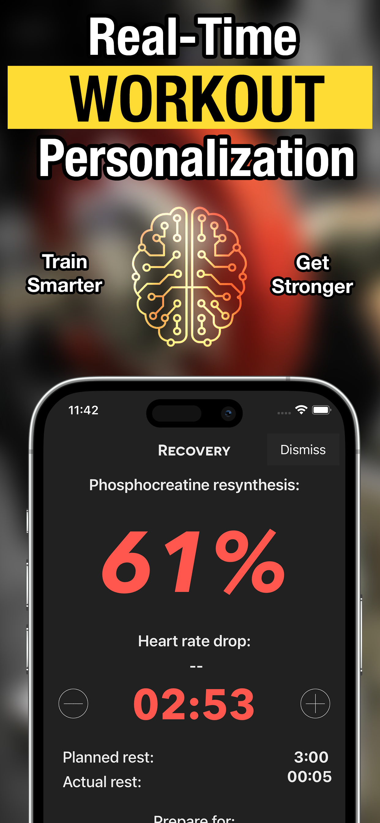 Sheiko Gold: Weight Training