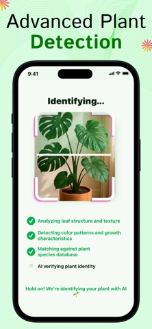 Picture Plant: Tree Identifier screenshot