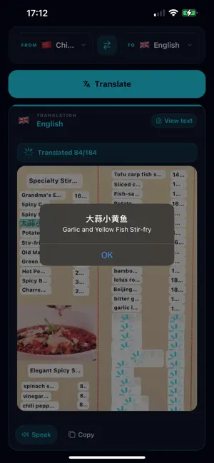 Nomad Translator - No Internet 截图