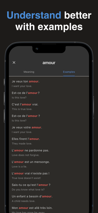 Metropolitan French Dictionary Screenshot 4 of 5
