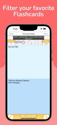 ANCC Test Bank  & Study Notes screenshot