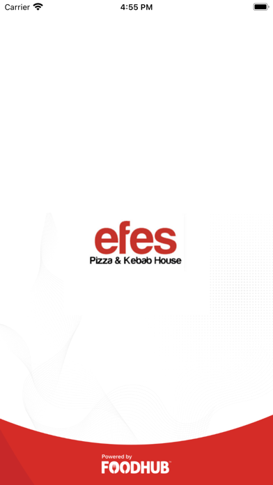 Efes Pizza and Kebab House. Screenshot