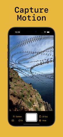 Ornithoto screenshot