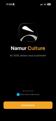 Namur Culture screenshot