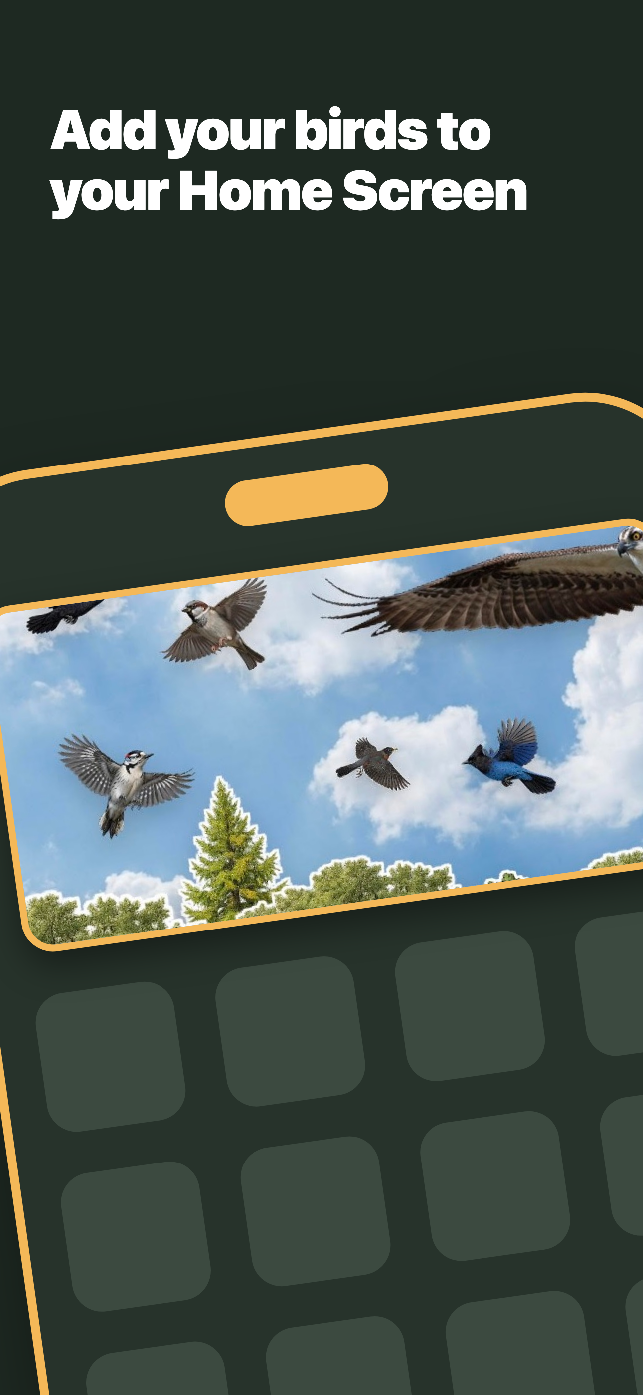Chirp Widget screenshot 2
