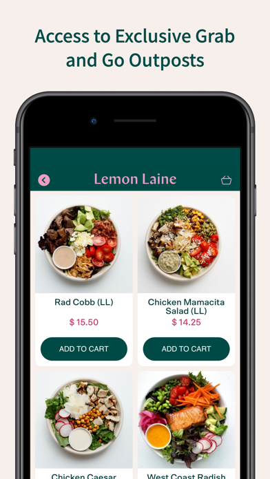Radish Kitchen Screenshot