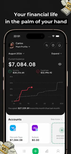 Despezzas: Money Manager screenshot 1
