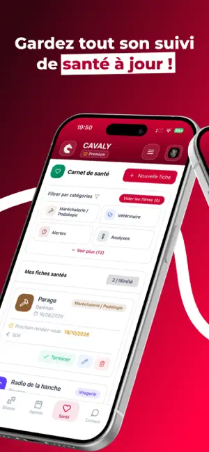 Cavaly screenshot 4