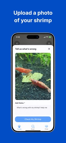 Shrimp Expert screenshot