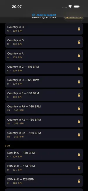 SUS4 Backing Tracks: Jam Along screenshot 2