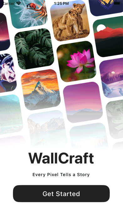 WallCrafts Screenshot