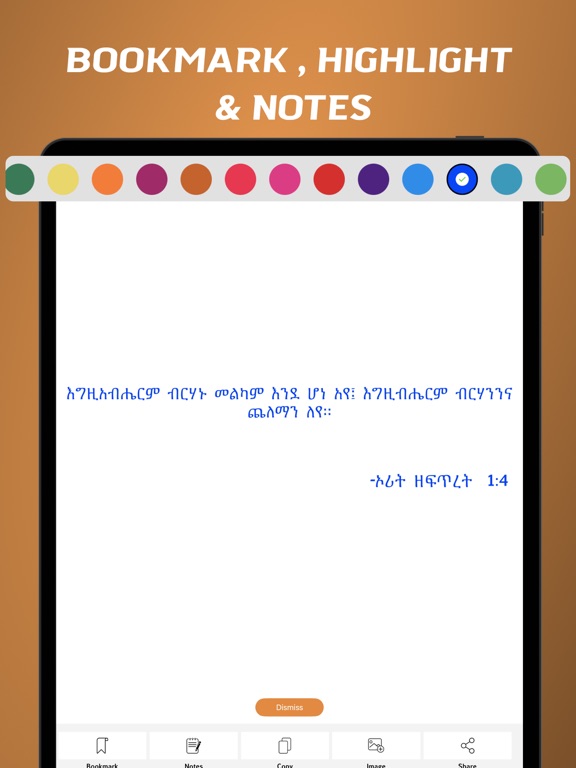 Screenshot #6 pour Amharic Bible - offline