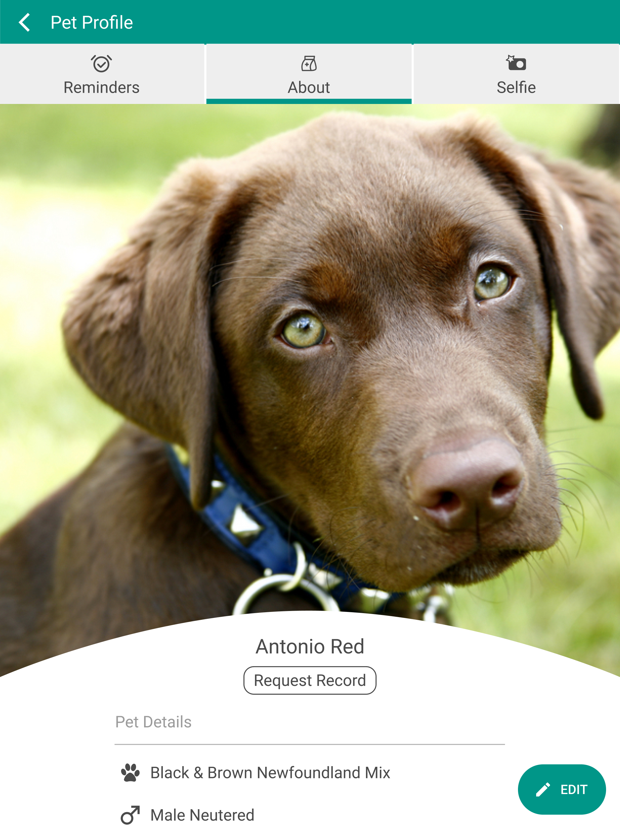 Advanced Animal Care screenshot 8