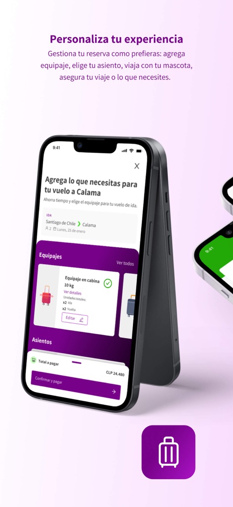 SKY Airline - Users can effortlessly customize their journey by adding essential services, such as selecting preferred seating and upgrading baggage allowance with clear cost breakdowns.