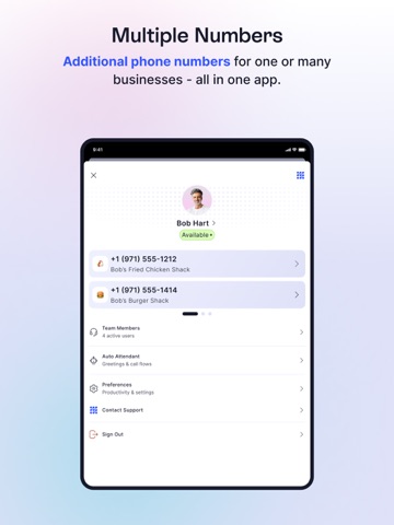 LinkedPhone—Pro Business Line iPad screenshot