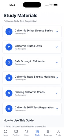 DriveReady AI screenshot