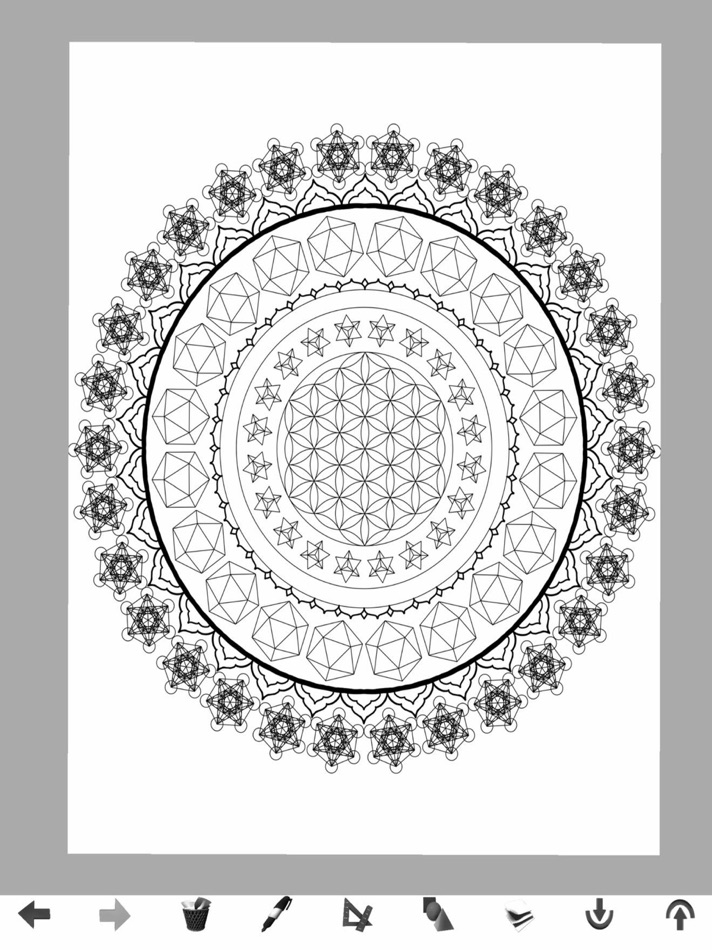 #10. Sacred Geometry Drawing App (iOS) By: Dillon Forte
