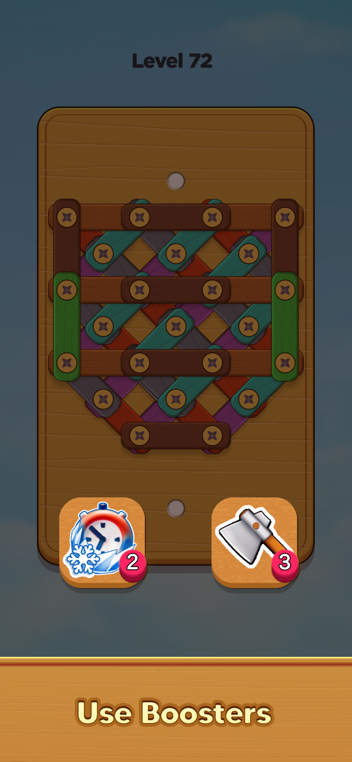 Nuts and Woods Screw Puzzle