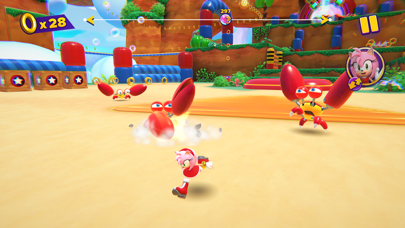 Screenshot from Sonic Dream Team