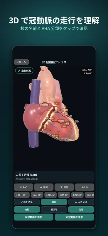 血液ガスCAG道場 screenshot 8 of 9