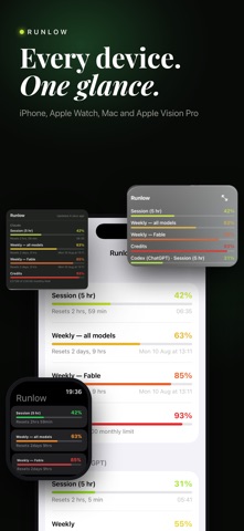 Runlow: AI Usage Meter iPhone screenshot